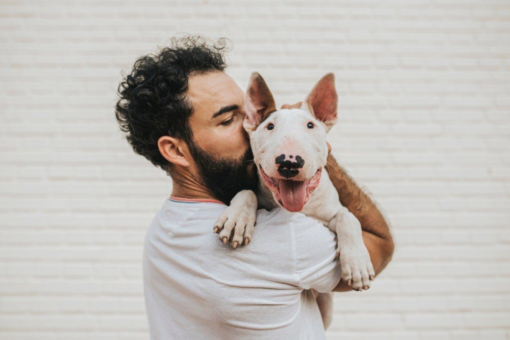 A bearded man holds a Bull Terrier mix over his shoulder, kissing the pup